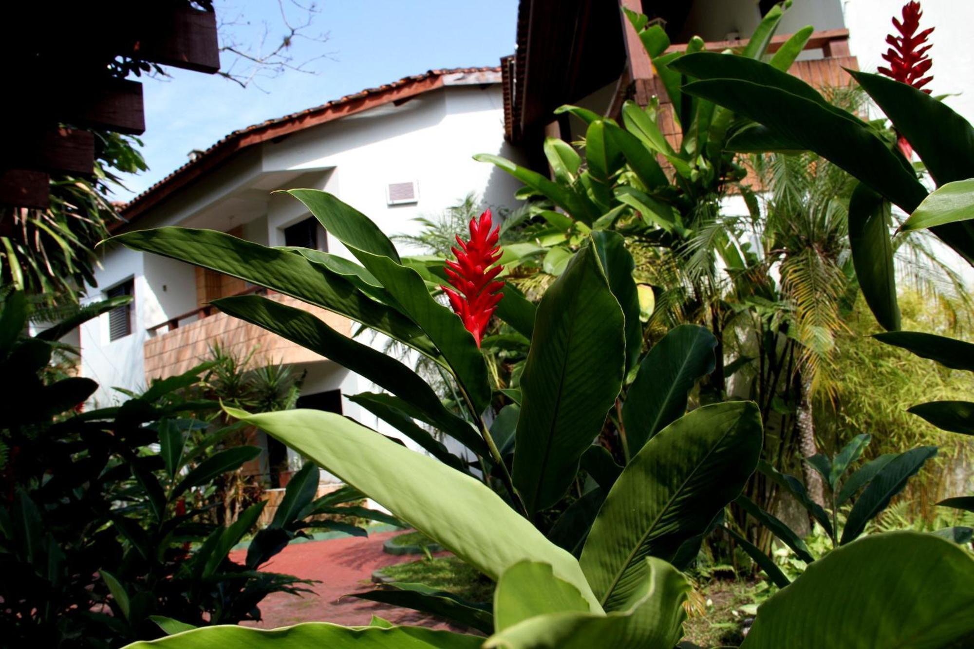 Inn Larimor Boicucanga